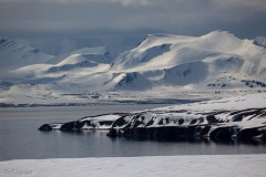 Day 2 - Ymerbukta, Poolepynten