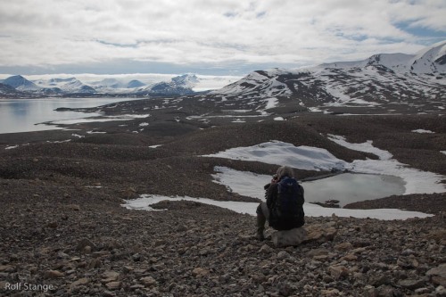 Day 11 - Grønfjord, Longyearbyen