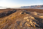 210910c_Hermansenoya_19_D