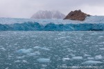 210911a_Smeerenburgbreen_20_D