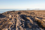 210913b_Grahuken_46_D