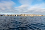 210914a_Jyplingane_12_D
