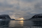 210914c_Phippsoya_03_D