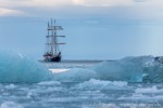210916c_Hamiltonbukta_76_D