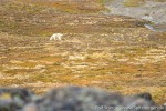 210824a_Observatoriefjellet_32_D