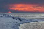 220216_Farmhamna_230_D