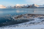 b1i_St-Jonsfjord_20Sept14_178_D