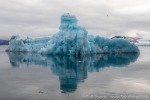 210822b_Vestre-Burgerbukta_11_D