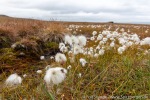 210825b_Kapp-Laila_053_D