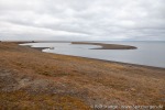 210825b_Kapp-Laila_064_D