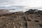 210821a_Tokrossoya_005_D