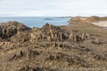210821a_Tokrossoya_019_D