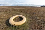 210821a_Tokrossoya_027_D