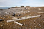 210821a_Tokrossoya_047_D