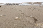 f3m_Vibebukta_09Juli13_064_D