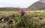 f4h_Pyramiden_17Juli13_127