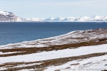 190602b_Skansbukta_25