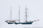 190605f_Raudfjord_09