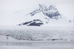 190608b_Nansenbreen_01