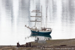 a4c_blomstrand_17juli14_068
