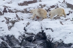 c8_Nordenskjoldbreen_28Sept12_41