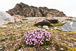 a6i_ossian-sarsfjellet_01juli15_143