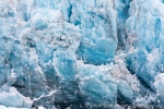 b4i_monacobreen_20sept15_263