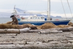 160813d_ardneset_19