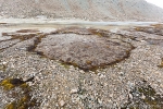 160817_recherchefjord_14