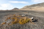 190817a_Tjuvfjordskarvet_048