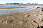 a9w_hassensteinbukta_02aug15_044