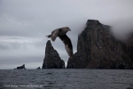 Bjørnøya, Bear Island, Bäreninsel: Stappen