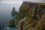 Bjørnøya, Bear Island, Bäreninsel: Fuglefjellet