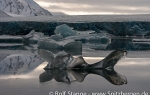 Recherchebreen_25Sept08_043