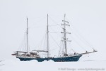 190605f_Raudfjord_09_D