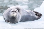 190809b_Smithbreen_15_D