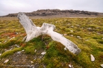 Edgeøya: Andréetangen