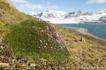 190628c_Fjortende-Julibukta_40