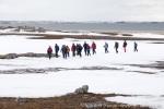 190607a_Eidembukta_34