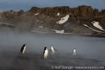 a9_deception-island_13jan15_489