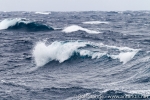 f3_southern-ocean_05feb15_005