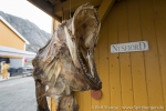 180519b_nusfjord_13