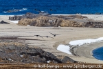 f1f_ahlstrand_10juni13_068