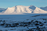 b1_Reindalen_13April14_263