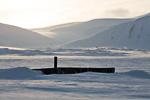 a3d_mohnbukta_25april15_19
