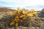 d2_CHofmanHalvo_09Sept06_24