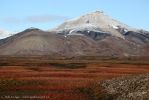 a8_Oienbukta_13Sept09_25