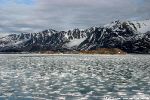 In den Fjorden findet sich ,,,