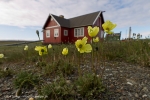 Grönland (Upernavik-Thule), SV Rembrandt van Rijn 23. Juli-07. August 2012