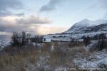 191029a_Skrolsvik_07